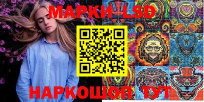 индика Тверь