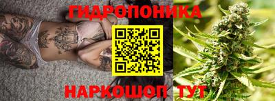 индика Тверь