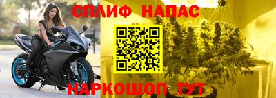 гидра Татарск