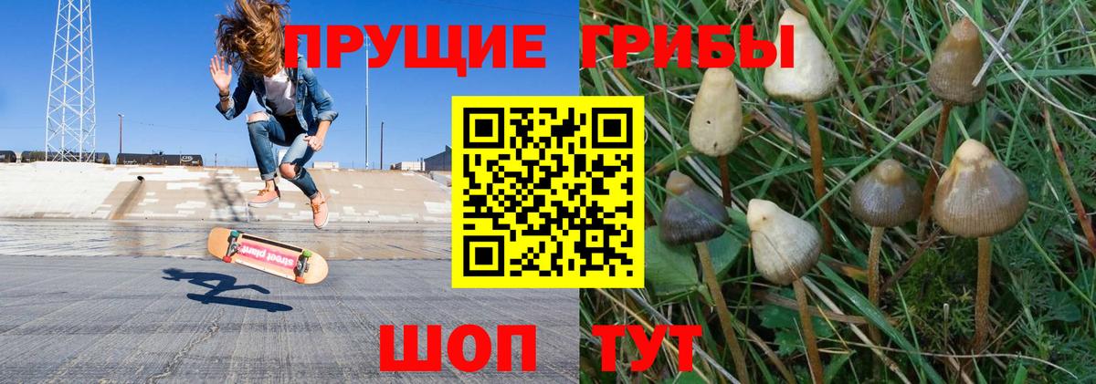 даркнет сайт  Галлюциногенные грибы Psilocybe  Вход с VPN  Батайск 